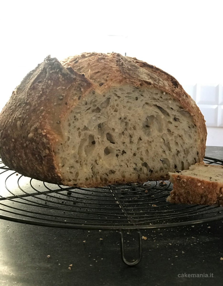 Pane biologico con lievito madre fresco